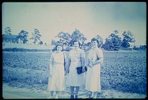 Public health nurses in a field